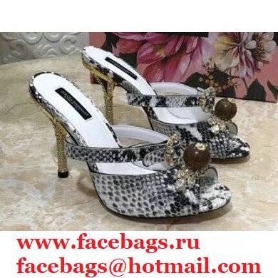 Dolce & Gabbana Crystal Heel 10.5cm Python Mules Gray 2021